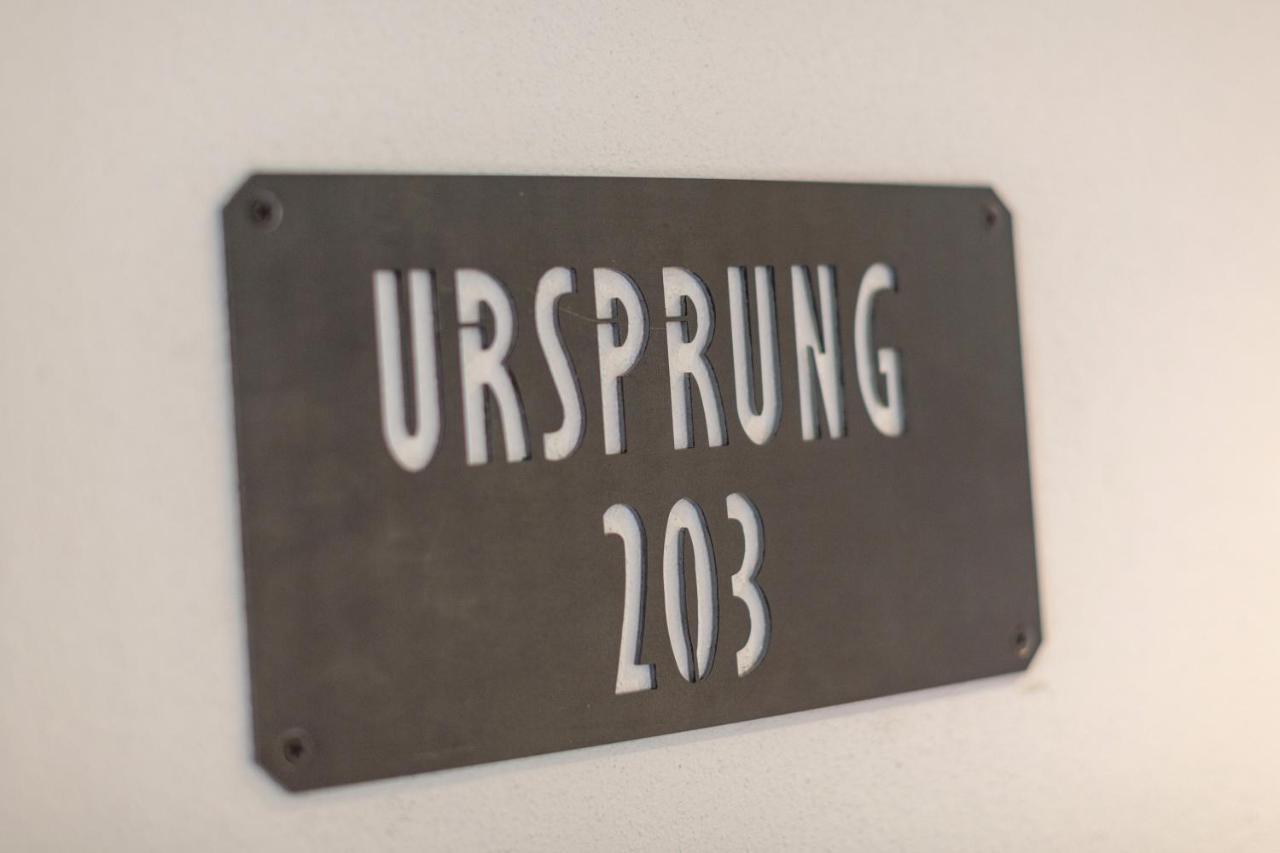 Das Gruenholz Aparthotel มึลบาค อัม โฮคเคอนิก ภายนอก รูปภาพ